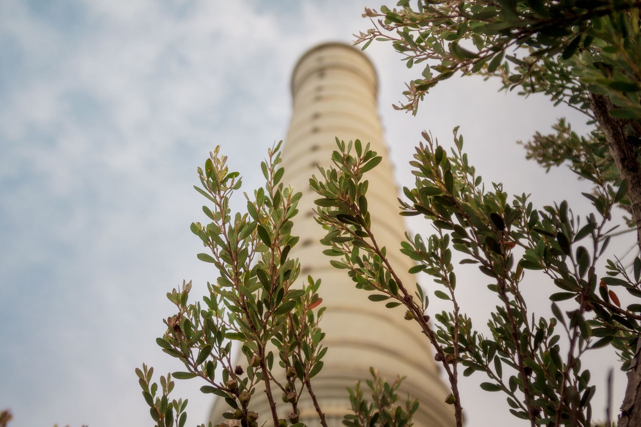 Looking up at the sewer vent’s ringed stone column through the leaves of a coastal shrub
