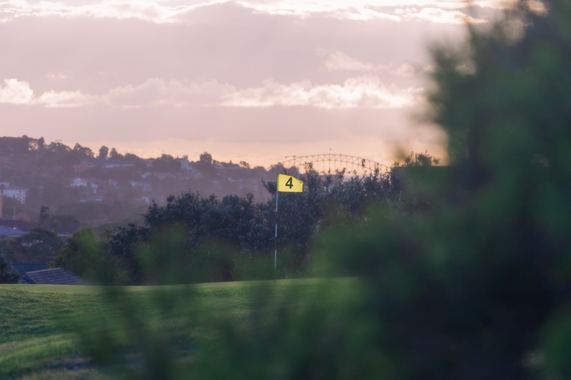 A yellow flag through blurred foliage, wooded hills and the arch of a distant bridge under pink cloud