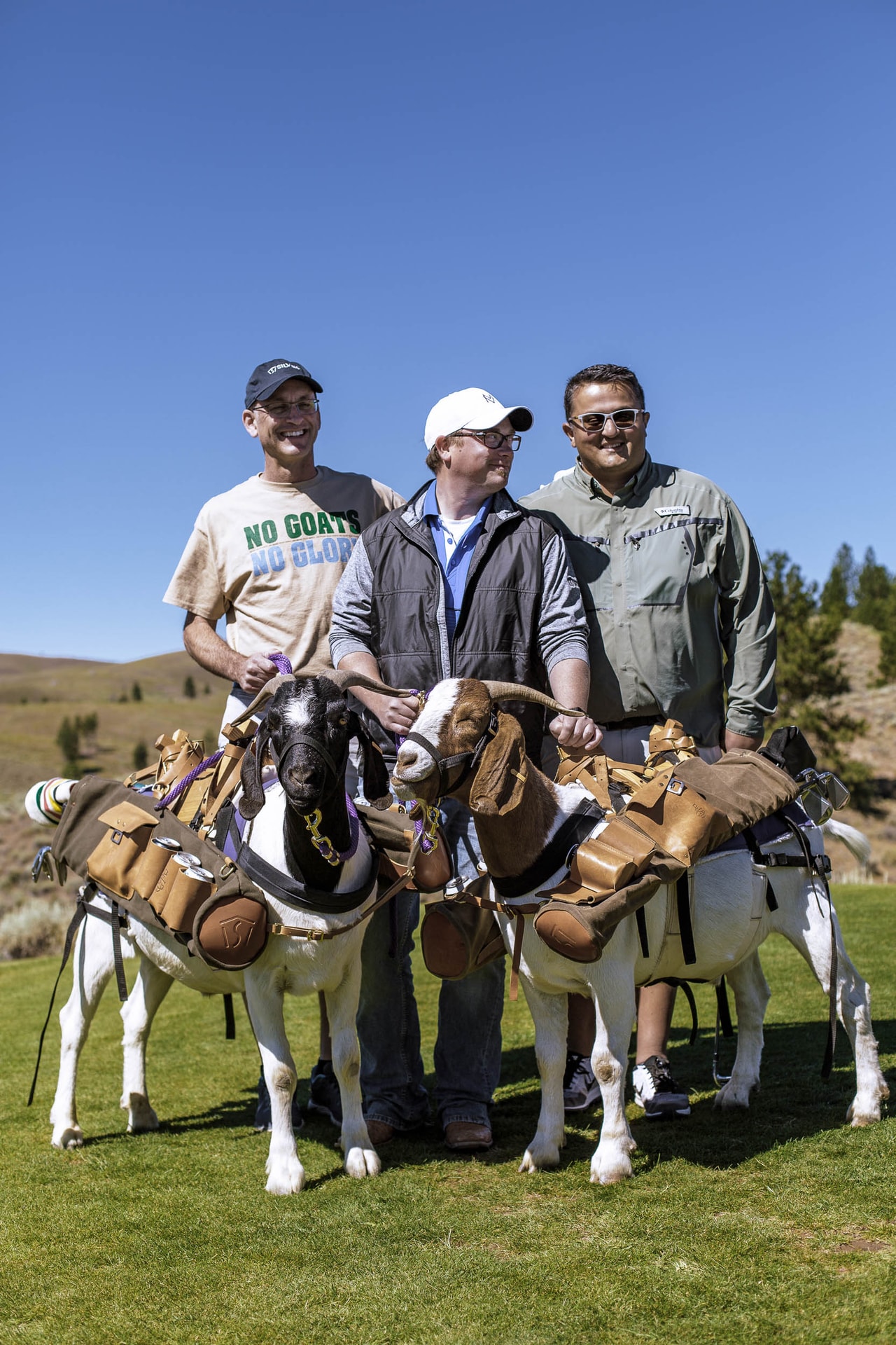 Three smiling men behind two goats in canvas and leather golf bag harnesses, one man’s T-shirt reading ‘No goats no glory’