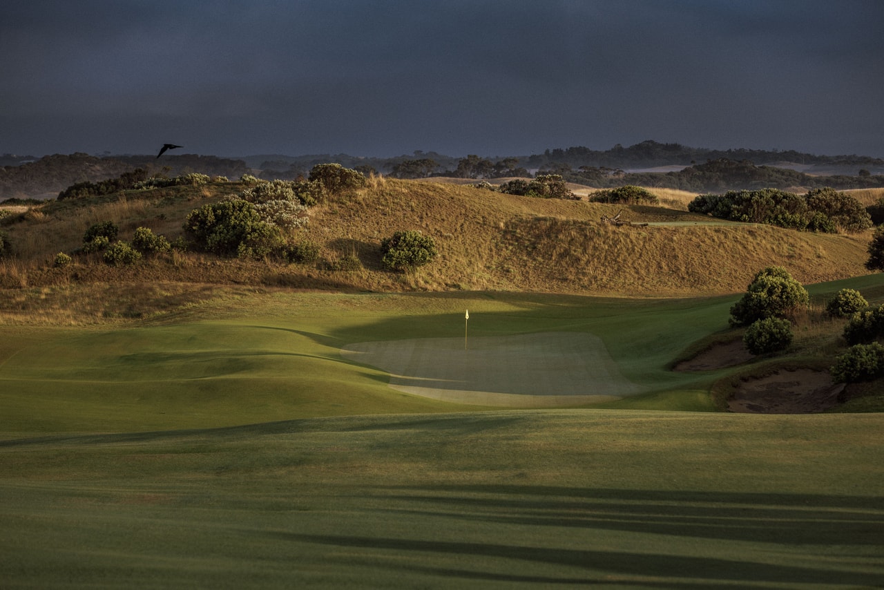A green lit in a hollow below a scrubby, sunlit dune, a dark sky behind and a bird in flight