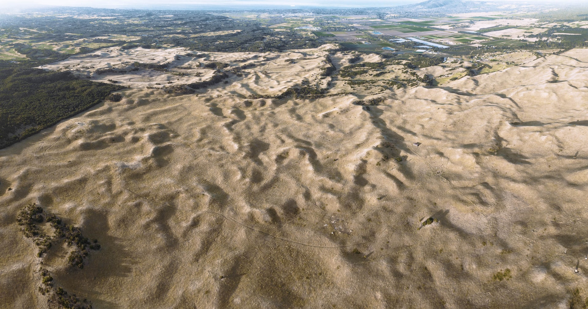 A wide sweep of pale, rumpled grassy dunes seen from the air, farmland and distant hills beyond