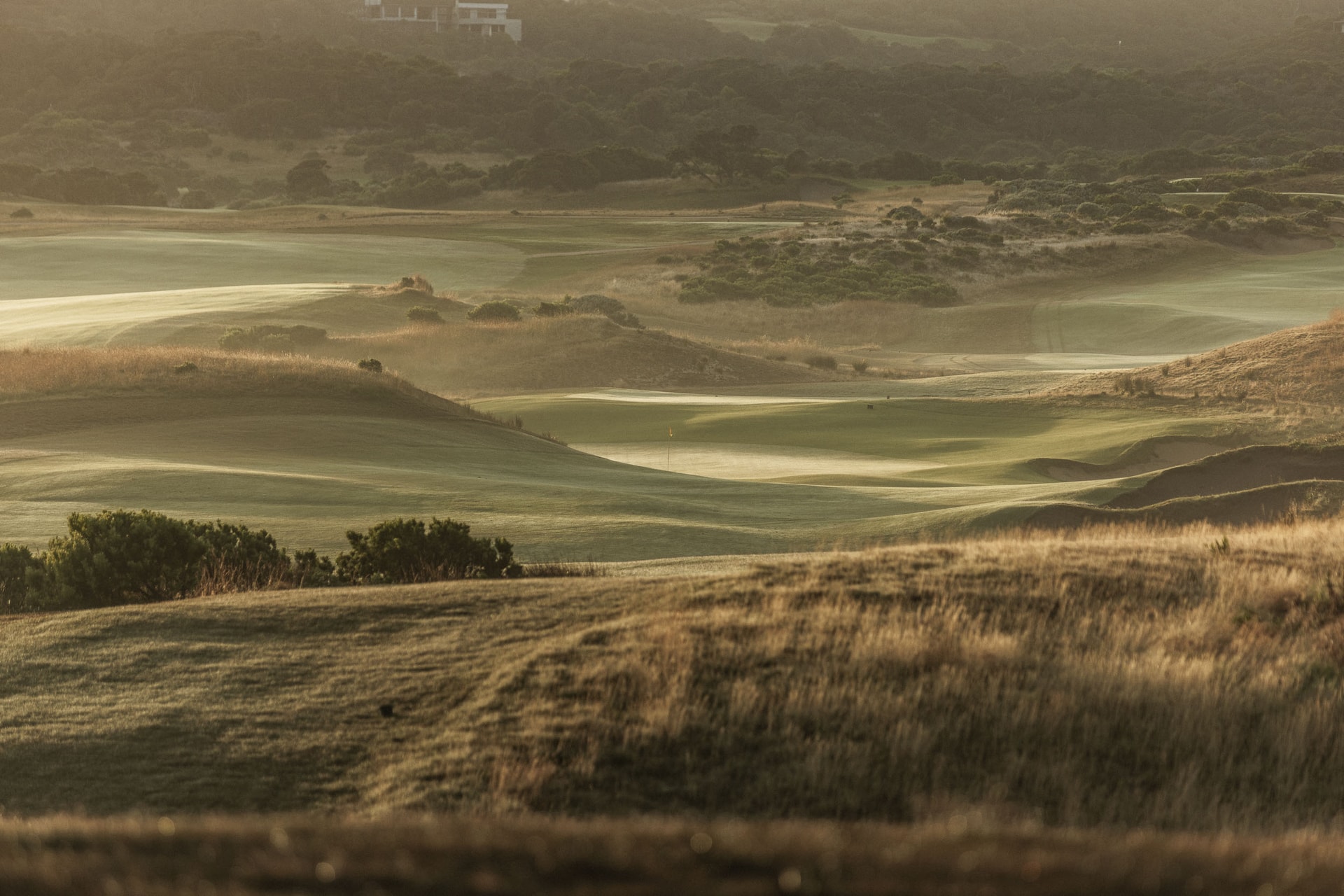 Hazy low light over folds of fairway and dune, scrub and houses on the hills beyond