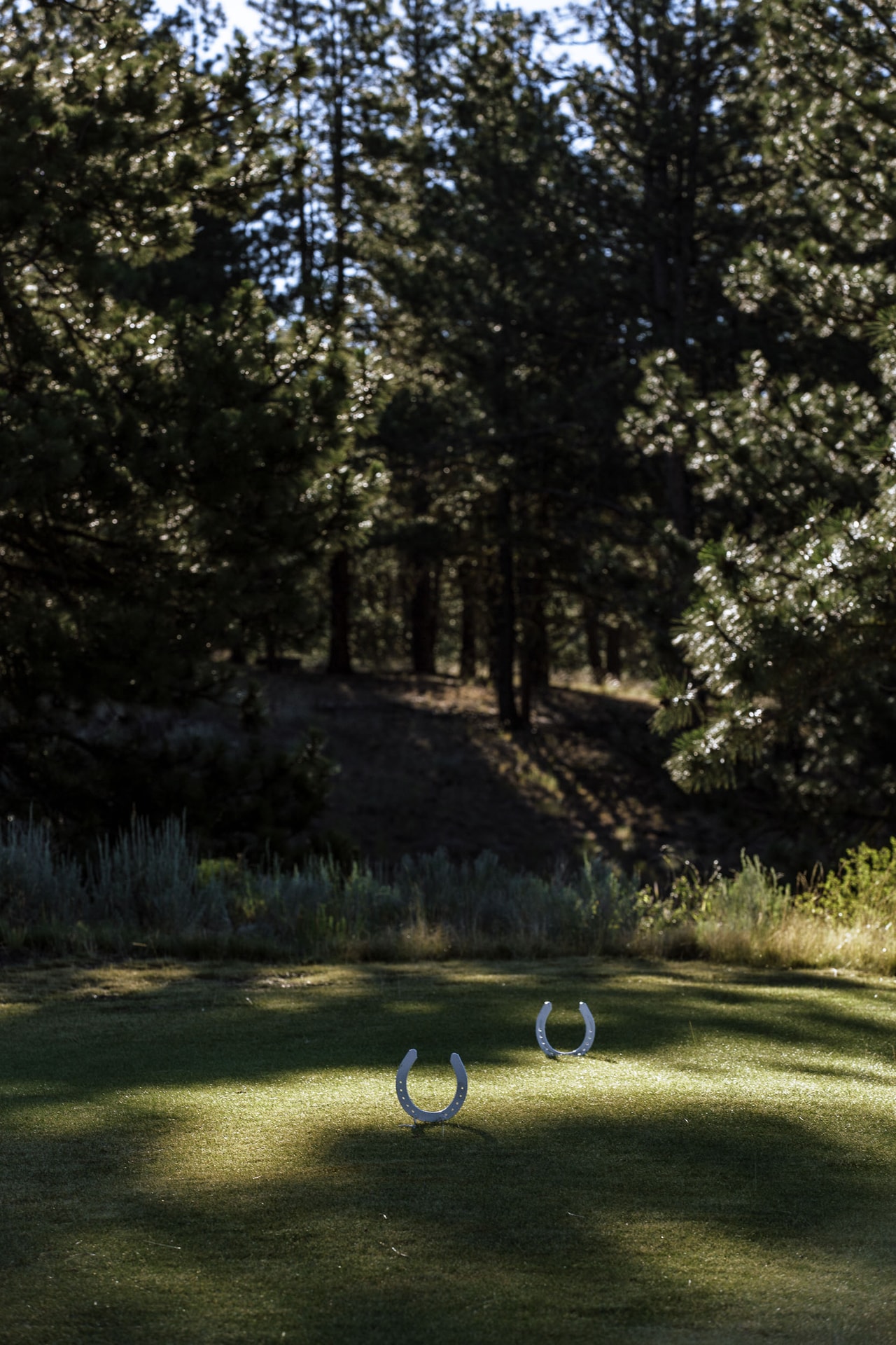 Two horseshoes standing upright on a patch of mown grass, a stand of tall pines behind