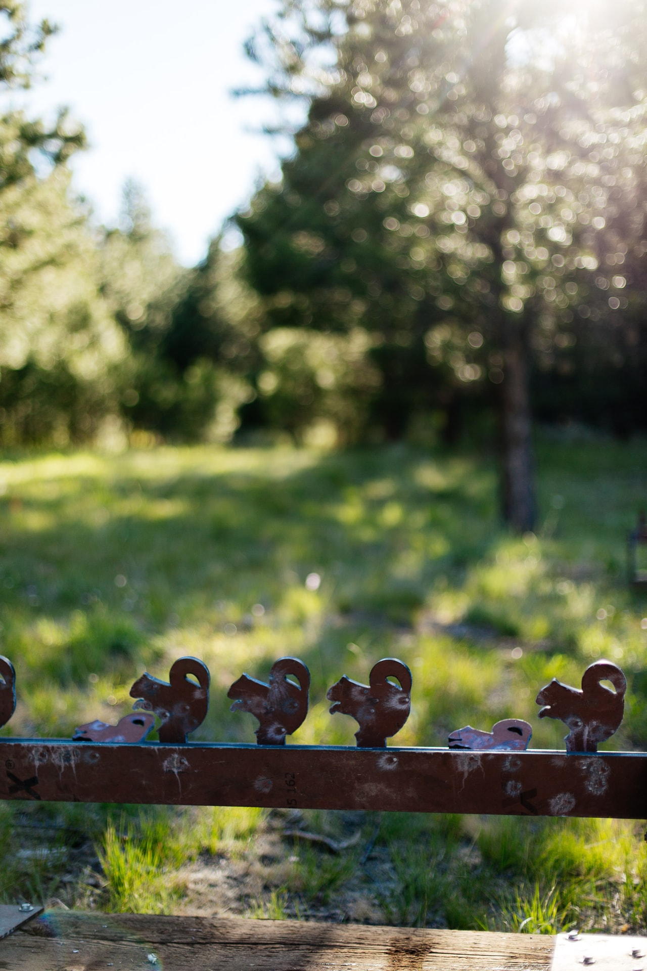 A row of metal squirrel-shaped targets on a rusted rail, sunlit grass and pines beyond