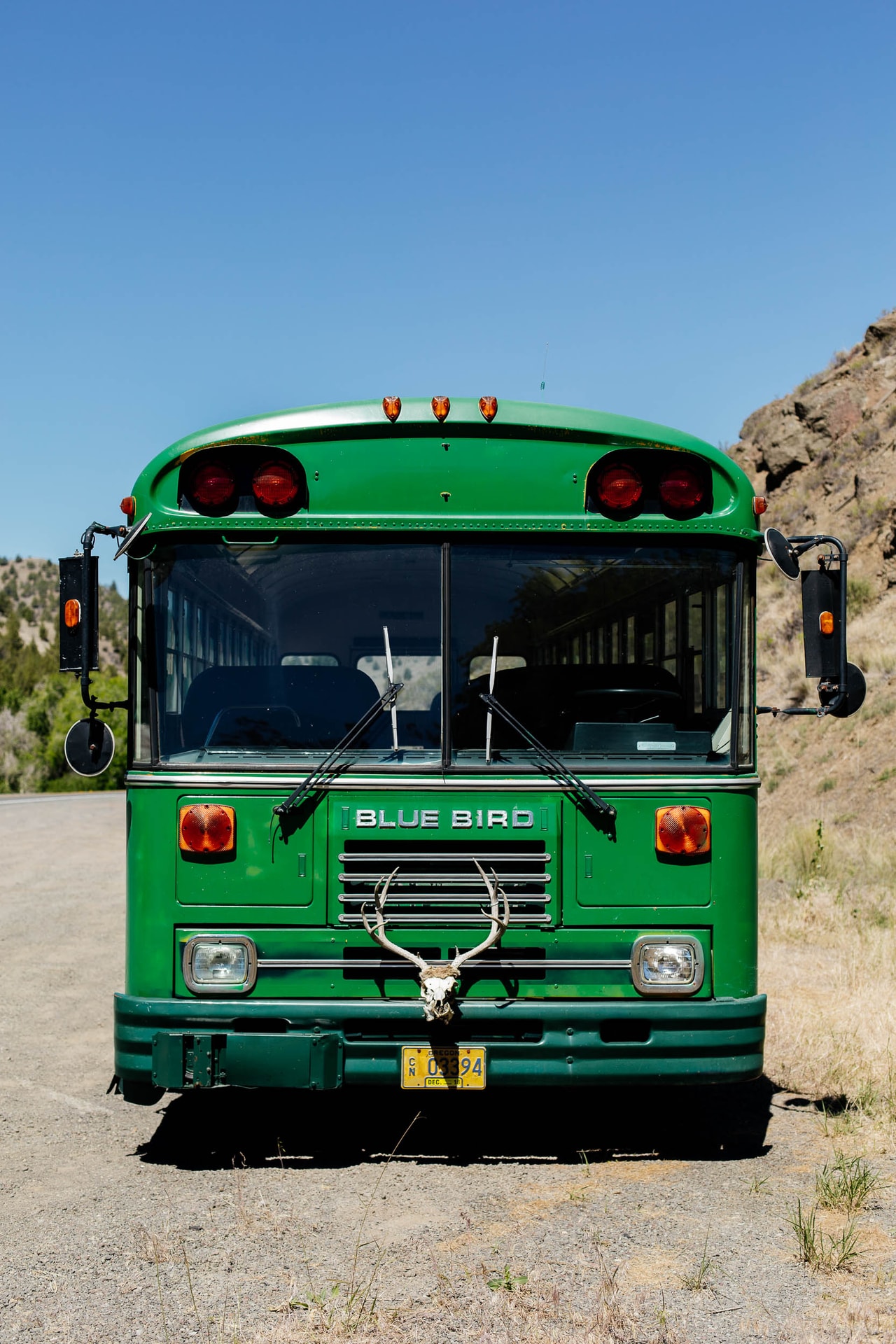 A green Blue Bird bus parked front-on on gravel beside a rocky slope, a set of antlers mounted on its grille