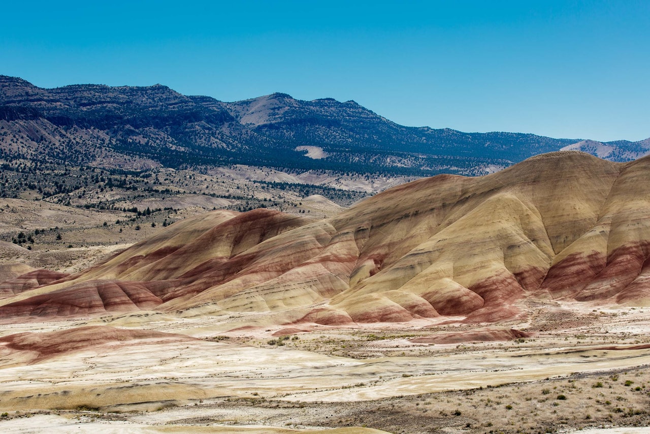 Hills banded red, ochre and cream below a dark, pine-covered mountain range on a clear day