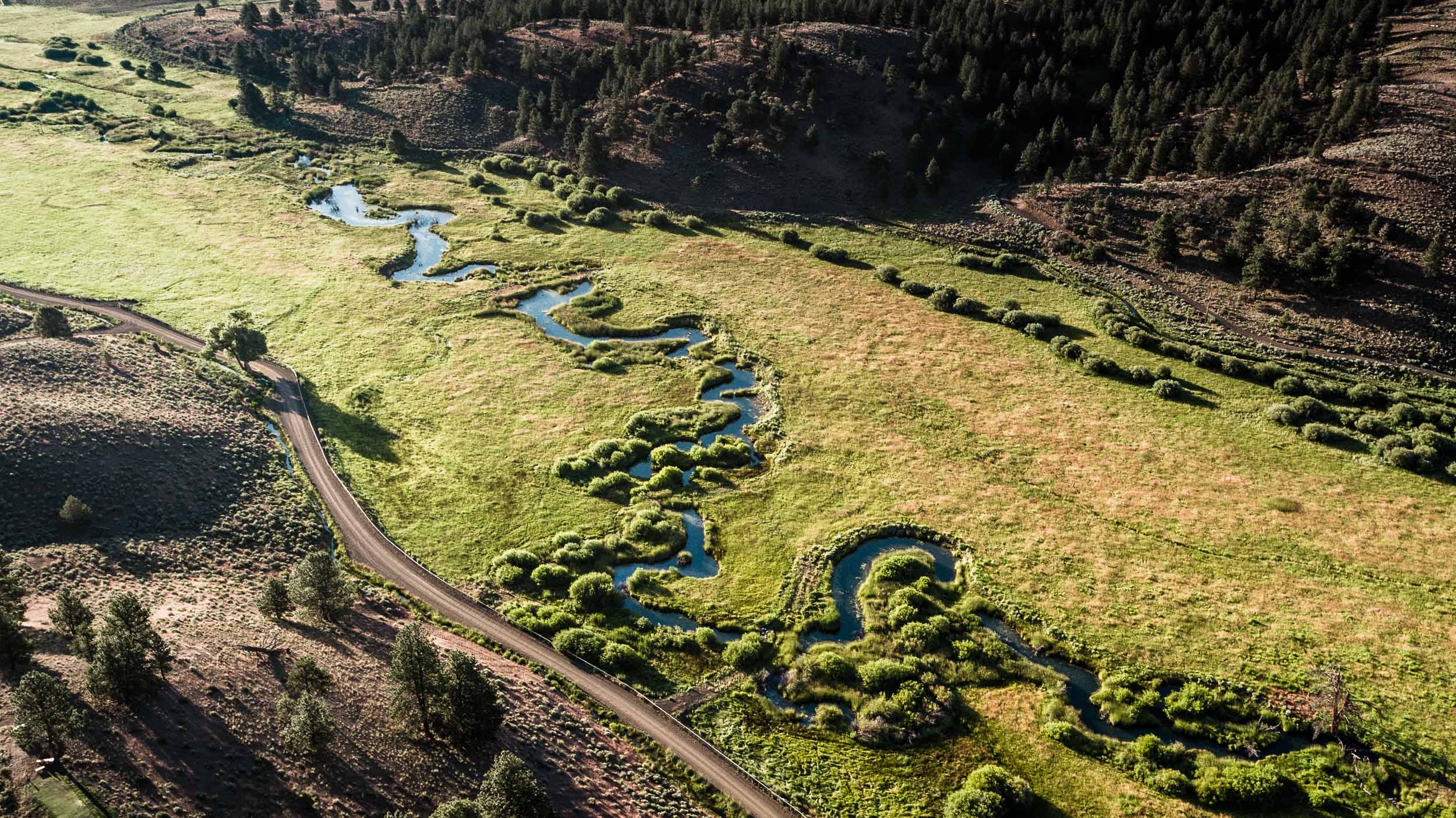 A creek snaking through a lush meadow, lined with shrubs, seen from the air, a gravel road beside it and pine-covered slopes beyond