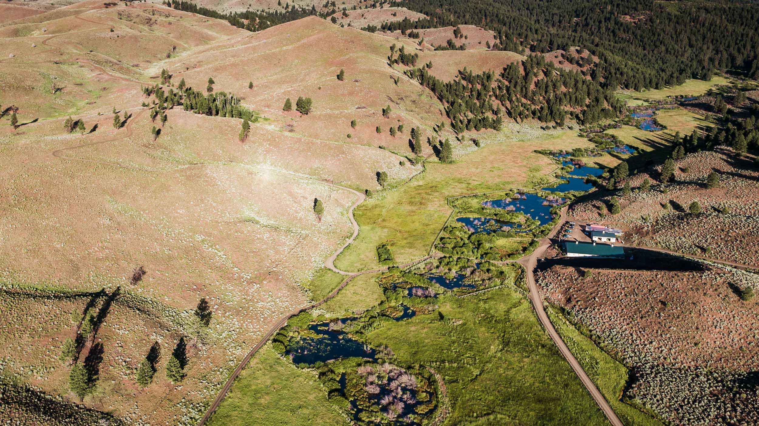 A creek widening into a chain of ponds through a green meadow between bare tan hills, a gravel road and a building beside it