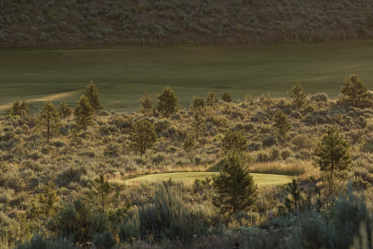 A small patch of mown grass among sagebrush and young pines in low light, a wide fairway and a sage-covered slope beyond