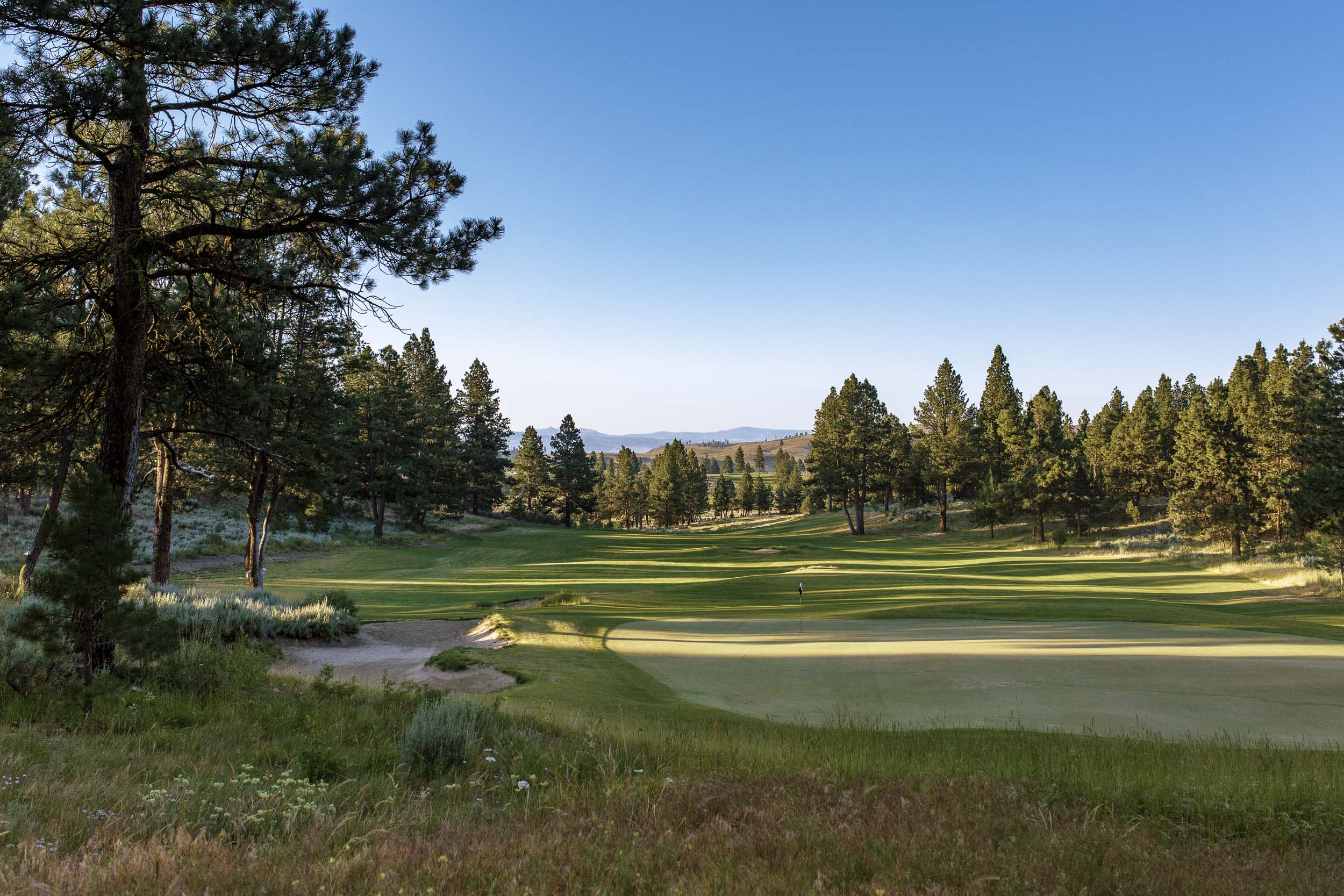 A green and its bunker in the foreground, a fairway lined with tall pines running away to blue hills