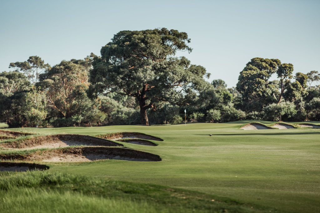 Contours_Journal_Will_watt_Kingston Heath-1-7