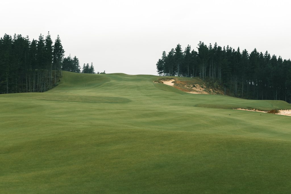 Contours_TeArai_Golf_Dec22_WWP-105