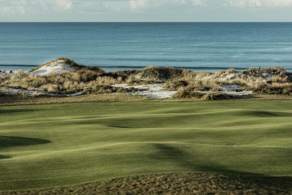 Contours_TeArai_May2023_WWP-150