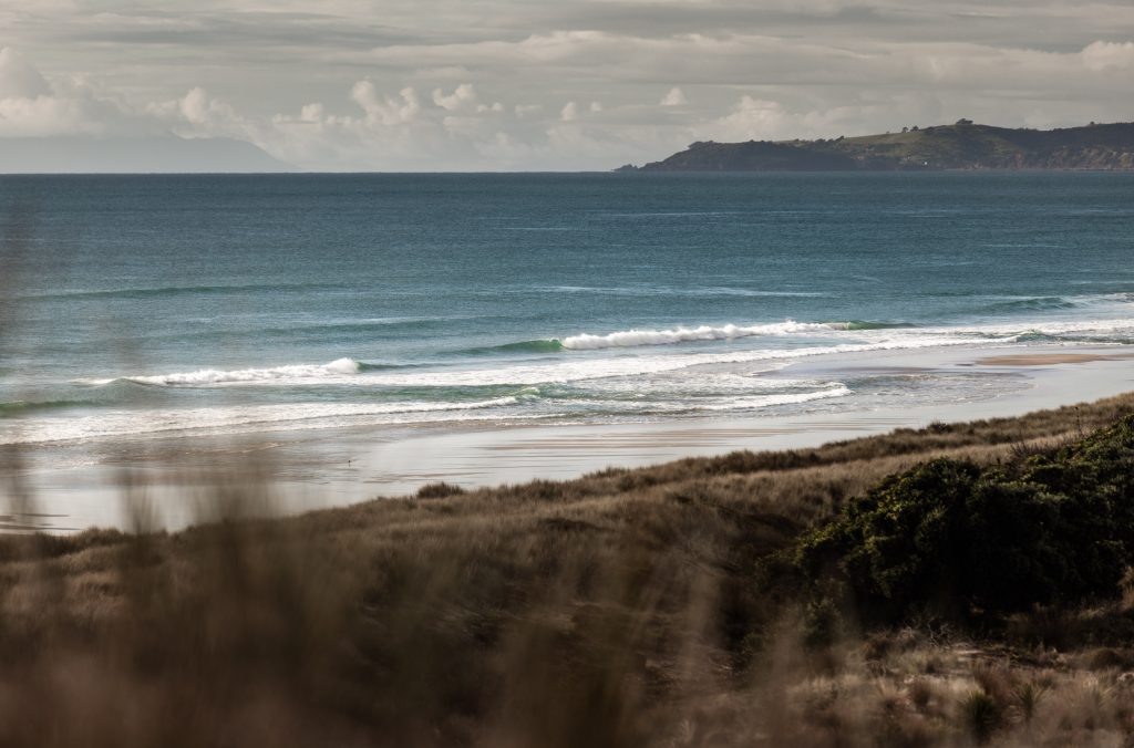 Contours_TeArai_May2023_WWP-59